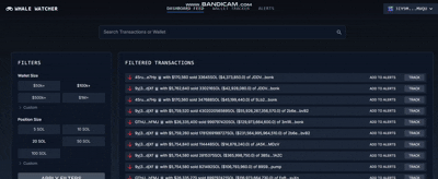 Solana Whale Tracker project image